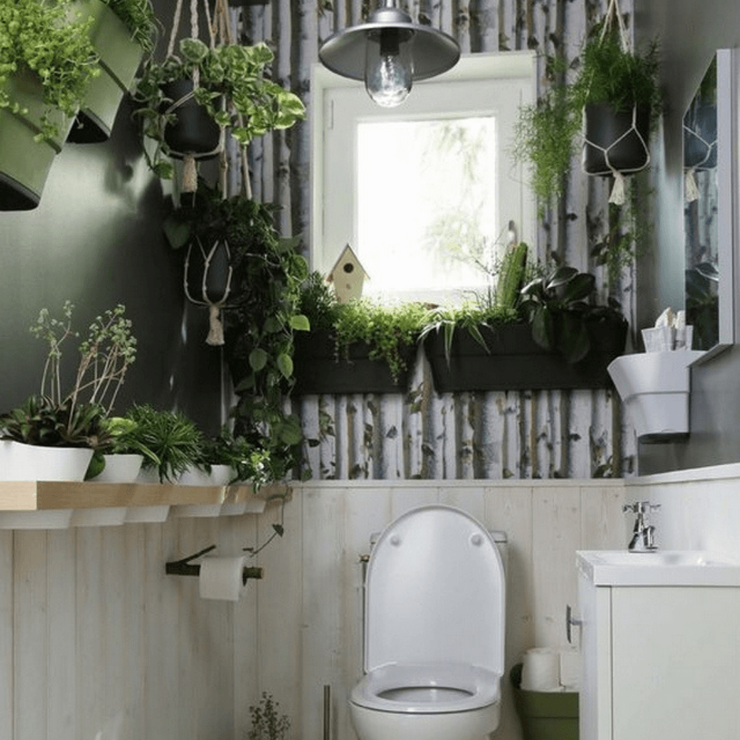 Toilettes : quelles tendances pour décorer ses WC ? - Wellpapers