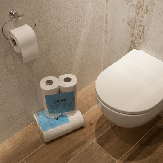 5 critères pour bien choisir ses WC – Popee