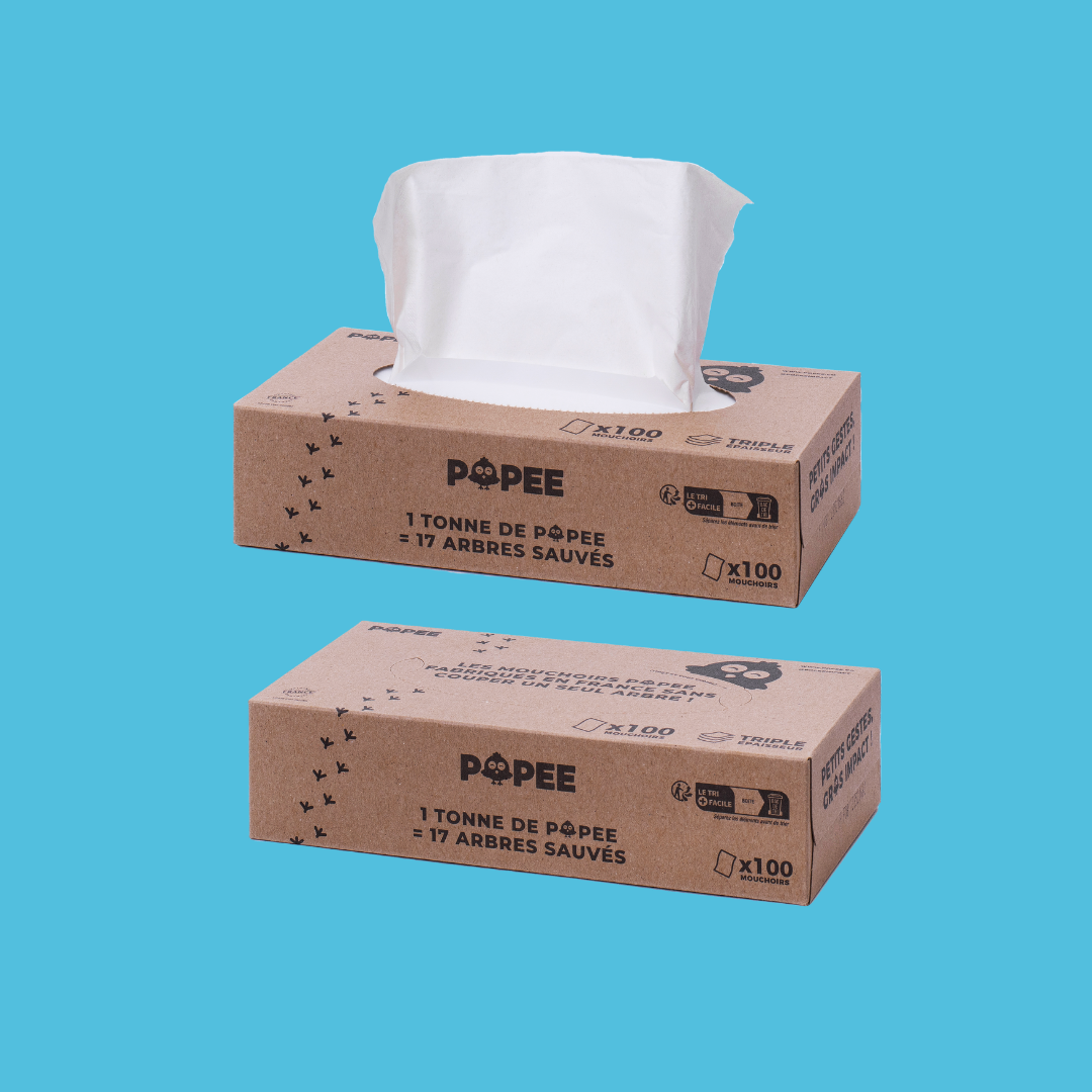 ROUTINE CONFORT : papier toilette, mouchoirs, essuie-tout - Popee