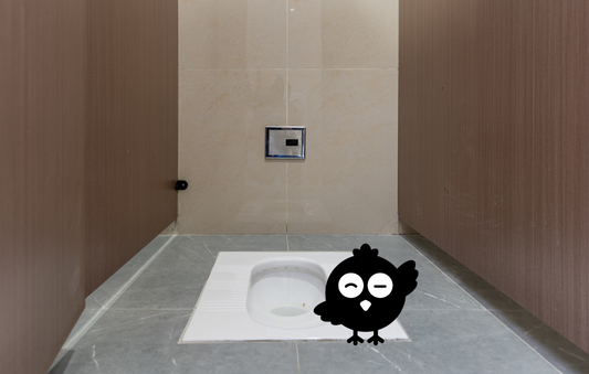 toilettes_turques_fonctionnement