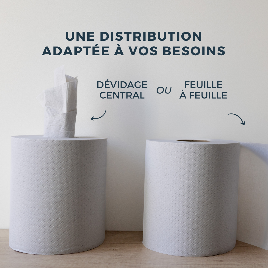 12 Rouleaux Essuie-Tout Pilbelles - 2 Plis - 100m/Rouleau - Bleu