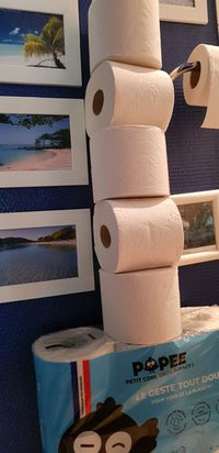 papier toilette écologique français