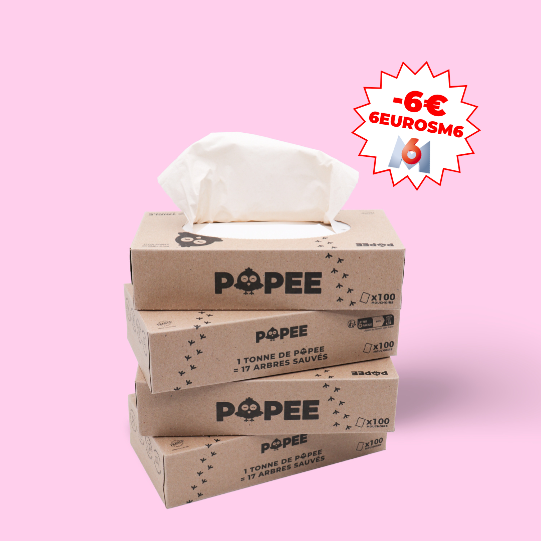 BOÎTES DE MOUCHOIRS - Lot de 35 boîtes de 100 mouchoirs en papier