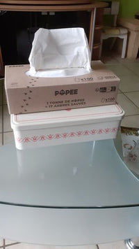 Boîte de 100 mouchoirs memo, papier recyclé 2 épaisseurs - Droguerie  Ecologique