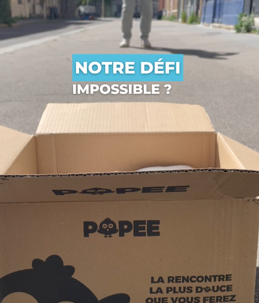 Les jeux de l'équipe Popee