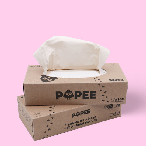 BOÎTES DE MOUCHOIRS - Mouchoirs en papier adaptés aux Peaux Sensibles