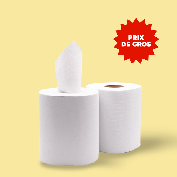 12 Rouleaux Essuie-Tout Pilbelles - 2 Plis - 100m/Rouleau - Bleu