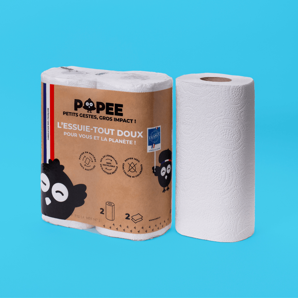 Papeco -- Essuie-tout recyclé français écolabel - 2 rouleaux (de 200 f –  Aventure bio